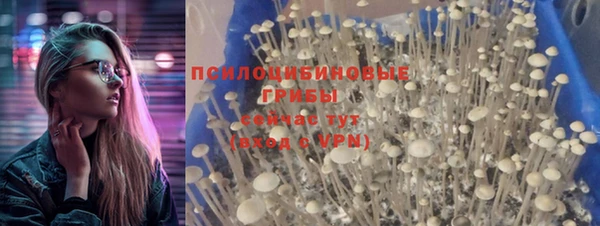 винт Алексин