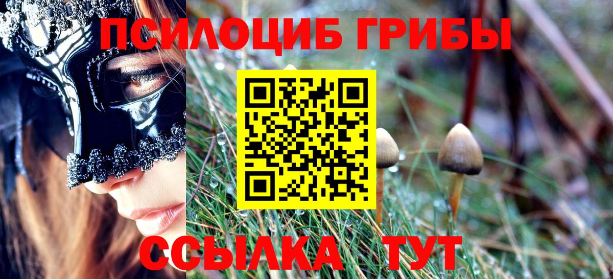 Галлюциногенные грибы Psilocybine cubensis  Псилоцибиновые грибы мухоморы  Вход с VPN  Дзержинск 